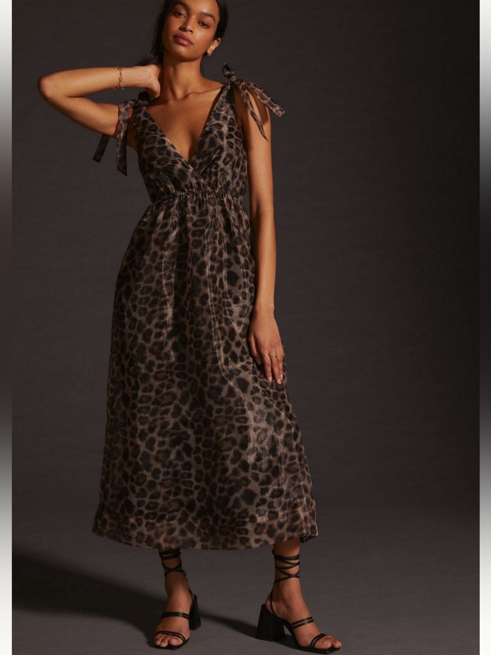 Anthropologie Daniel Rainn Organza Leopard-Print Tie-Shoulder Midi Dress Size PS